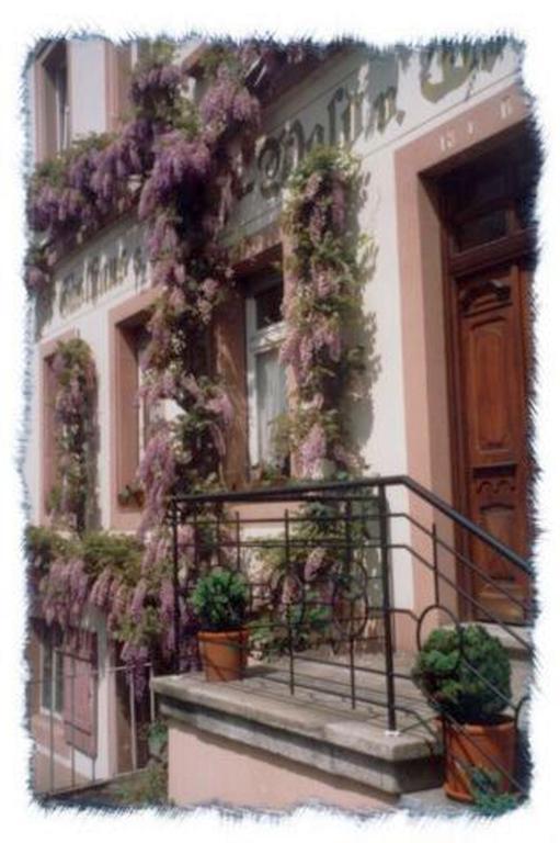Gasthaus Neupert Lemberg Esterno foto